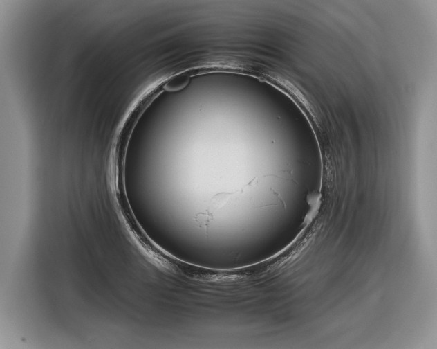 X0000116371131200912091232