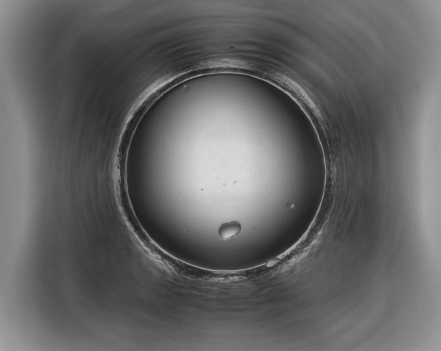 X0000116371133200912091232