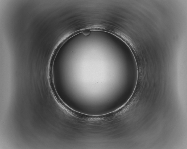 X0000116371135200912091232