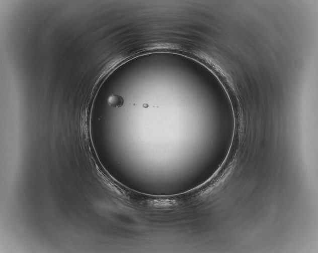 X0000116371137200912091232