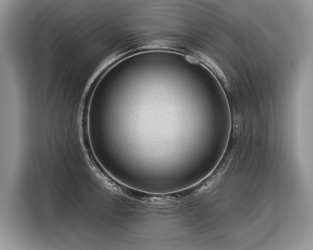 X0000116371138200912091232