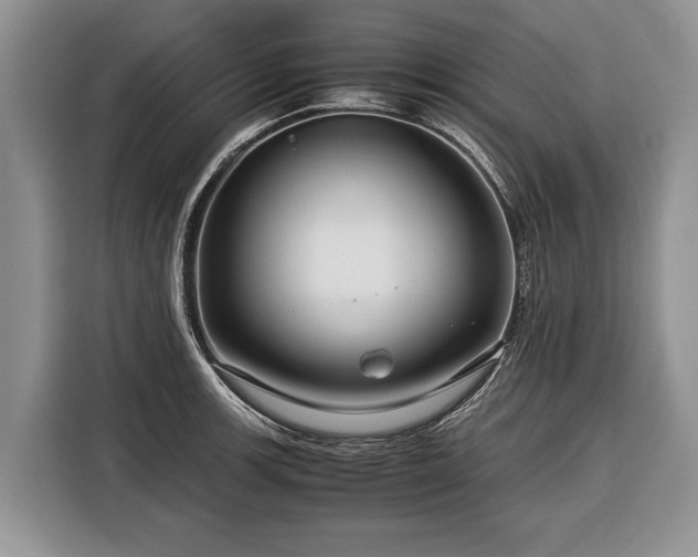 X0000116371139200912091232