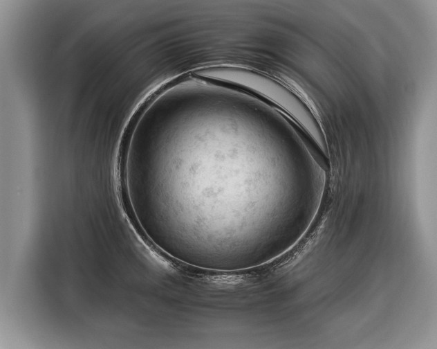 X0000116371141200912091232
