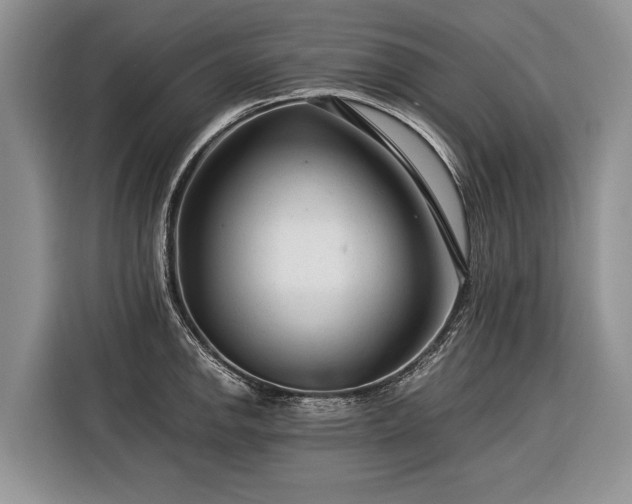 X0000116371142200912091232
