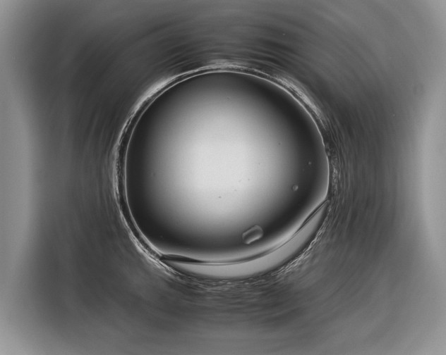 X0000116371143200912091232