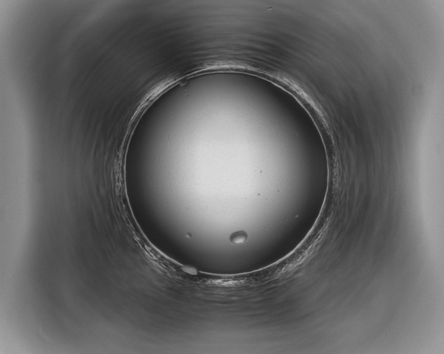 X0000116371145200912091232