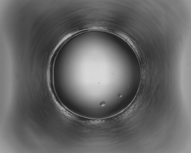 X0000116371147200912091232