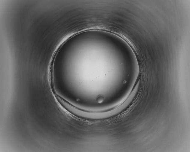 X0000116371151200912091232