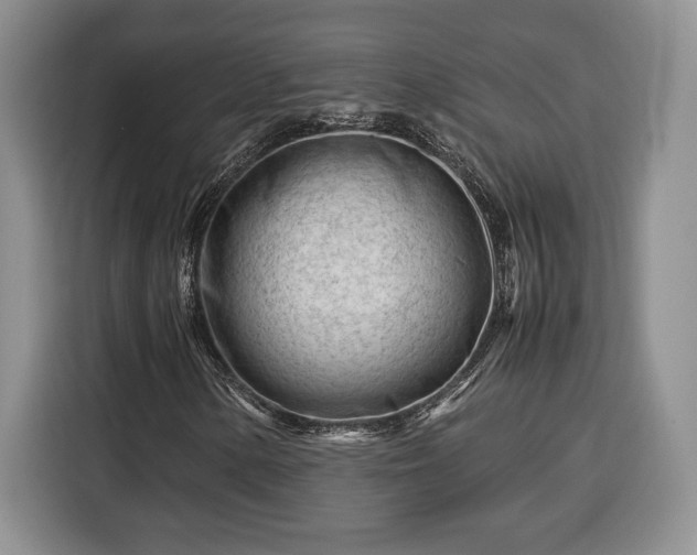 X0000116371154200912091232