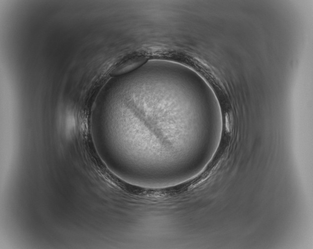 X0000116371155200912091232