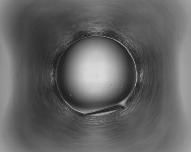 X0000116371156200912091232