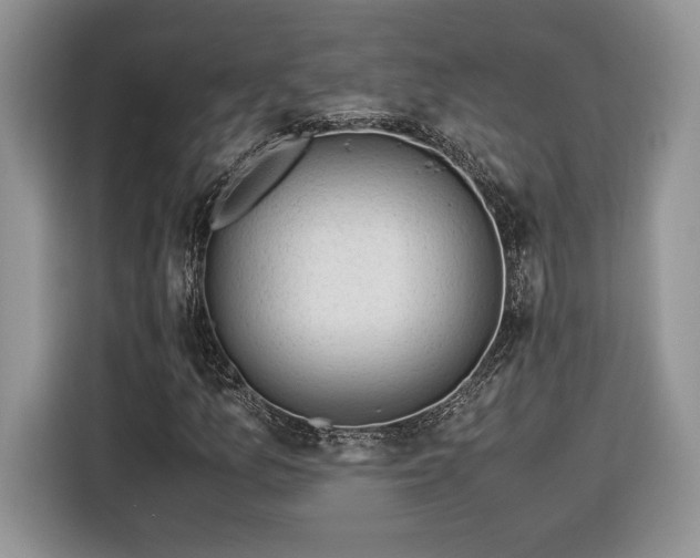 X0000116371157200912091232