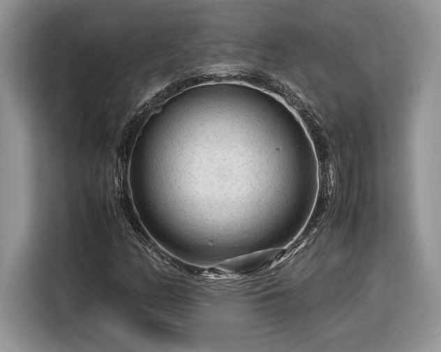 X0000116371158200912091232