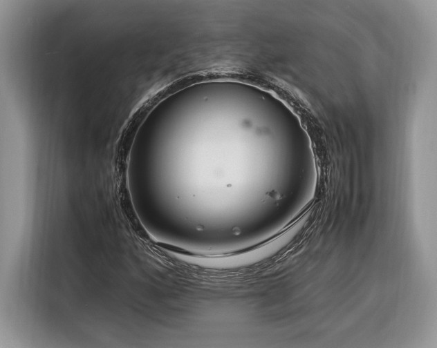 X0000116371160200912091232