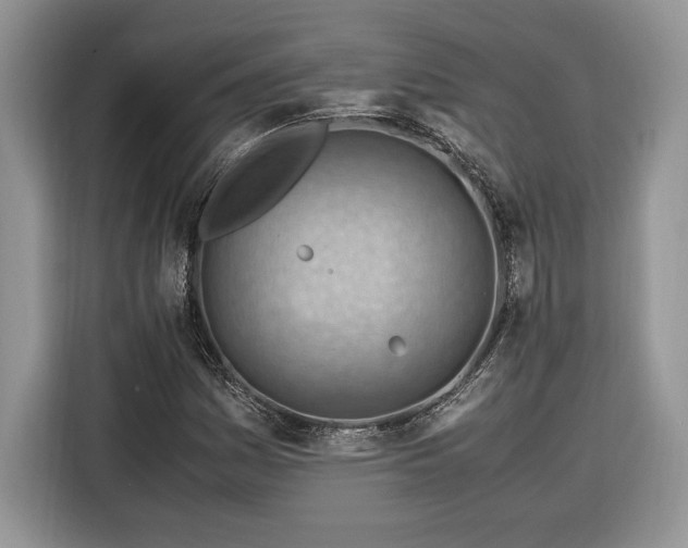 X0000116371161200912091232