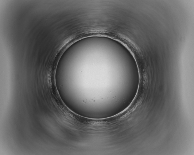 X0000116371162200912091232