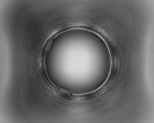 X0000116371165200912091232