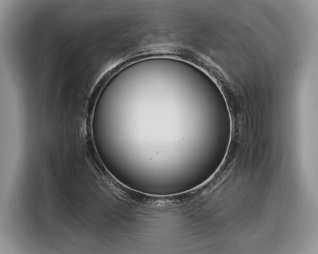 X0000116371166200912091232