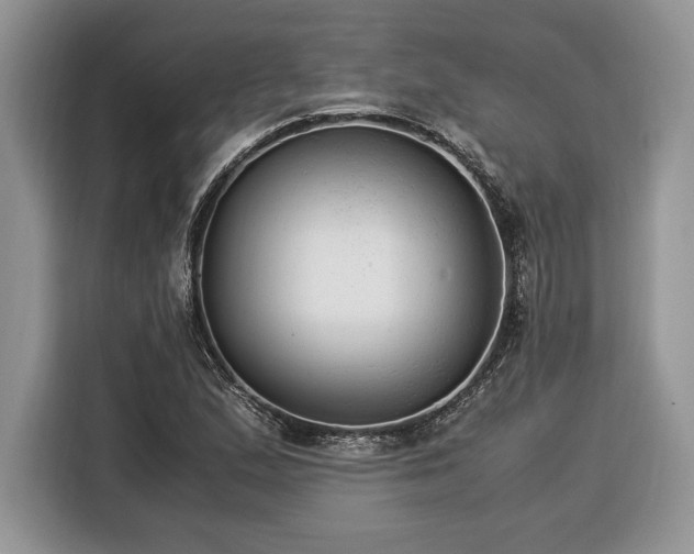 X0000116371167200912091232
