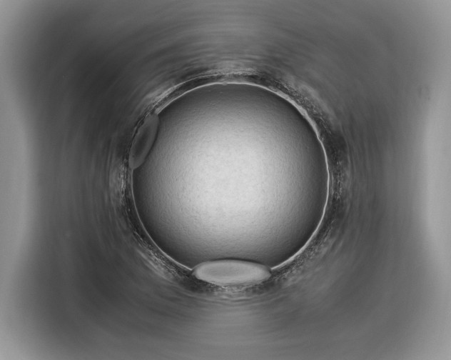X0000116371169200912091232