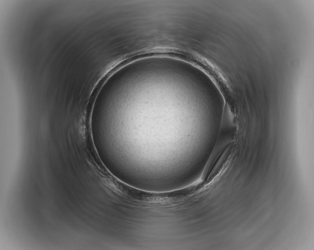 X0000116371170200912091232