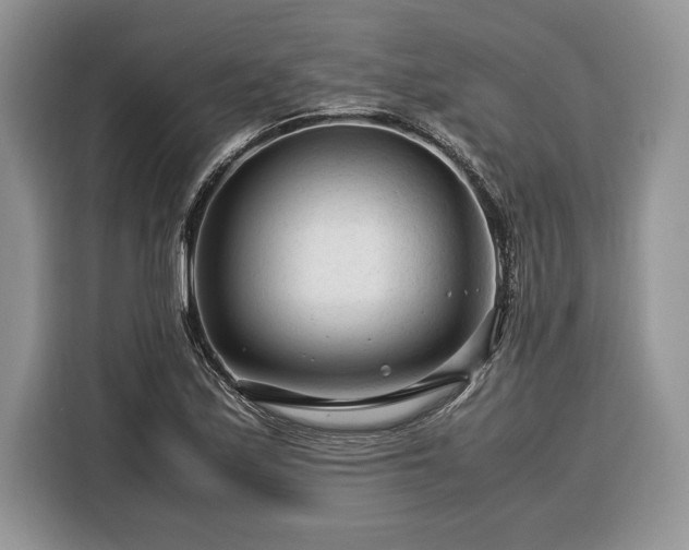 X0000116371171200912091232