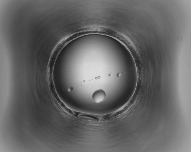 X0000116371172200912091232