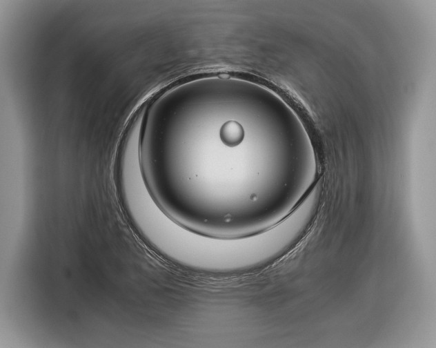 X0000116371173200912091232