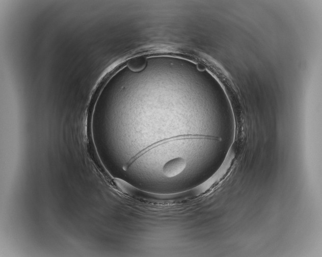 X0000116371174200912091232