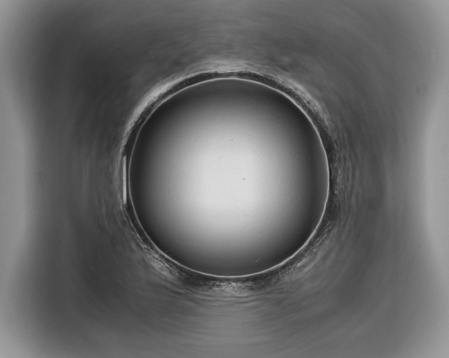 X0000116371175200912091231