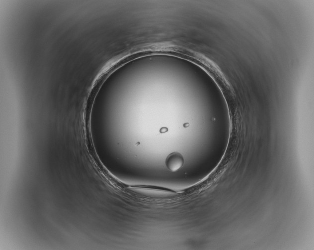 X0000116371176200912091231