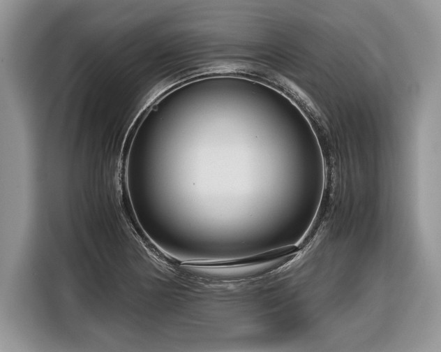 X0000116371178200912091231