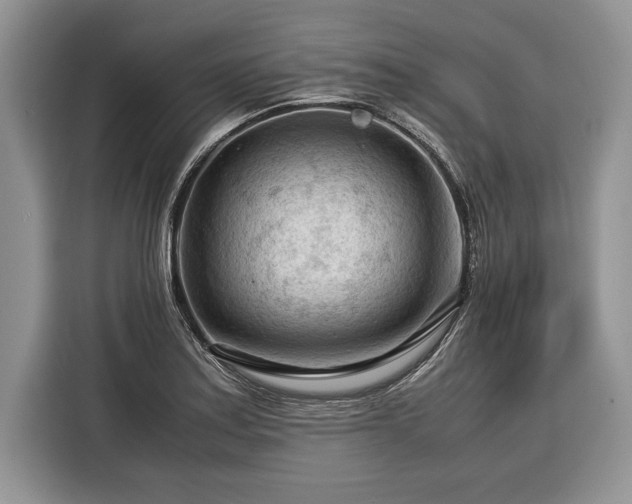 X0000116371179200912091231