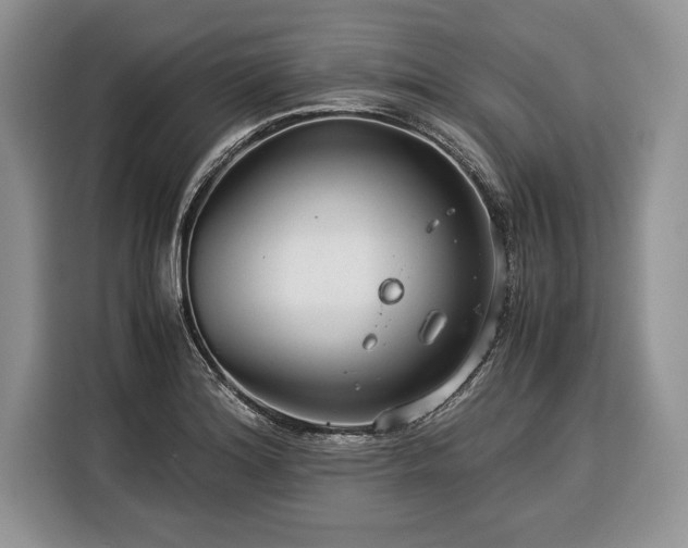X0000116371180200912091231
