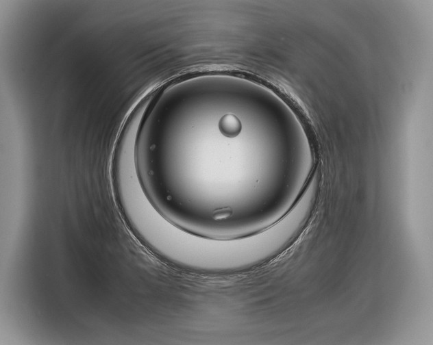 X0000116371181200912091231