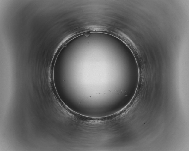 X0000116371182200912091231