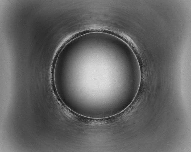 X0000116371183200912091231