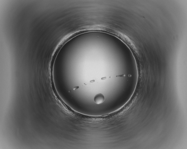X0000116371184200912091231