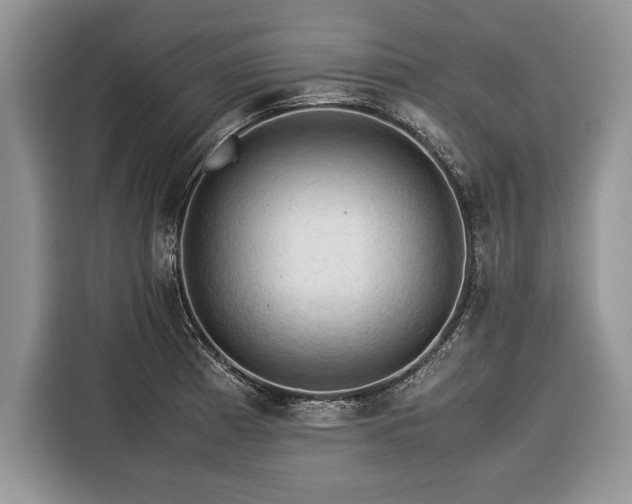 X0000116371185200912091231