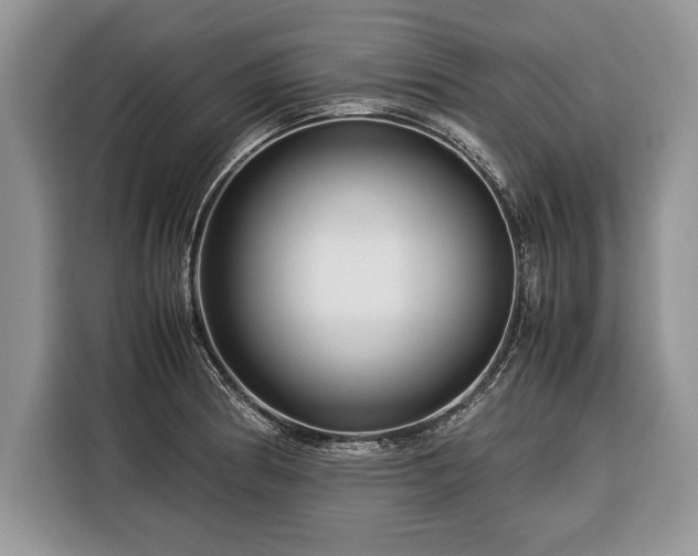 X0000116371186200912091231
