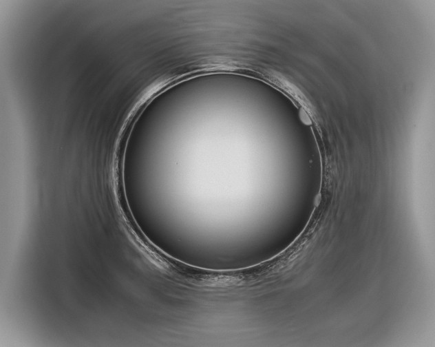 X0000116371187200912091231