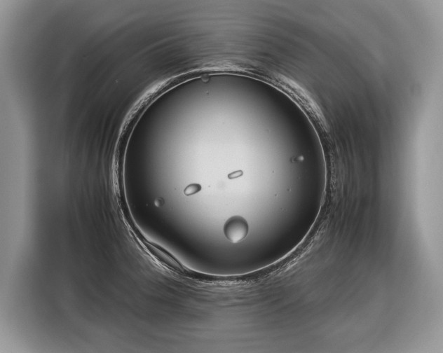 X0000116371188200912091231