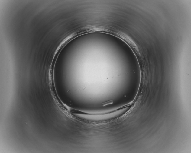 X0000116371190200912091231