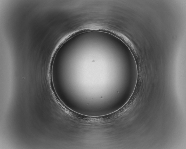 X0000116371191200912091231