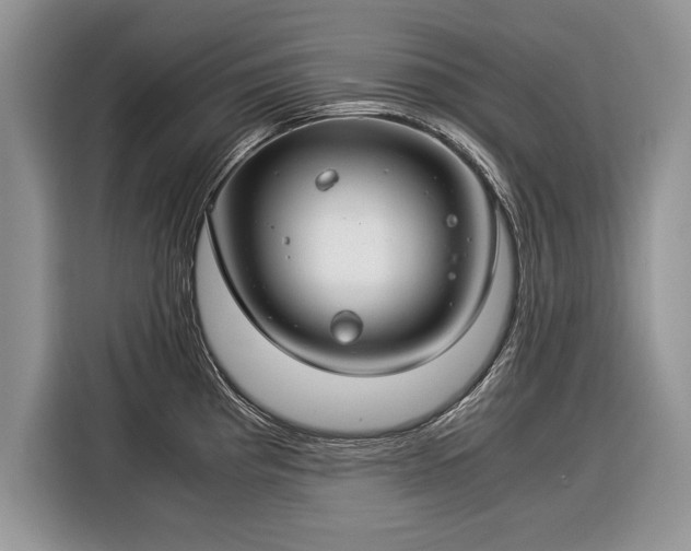X0000116371193200912091231