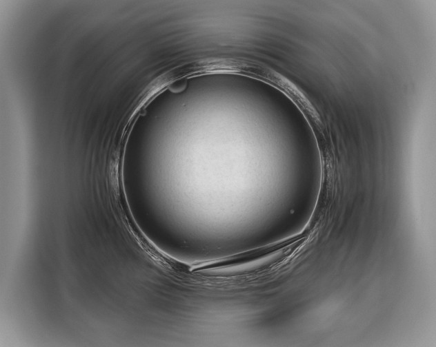 X0000116371194200912091231