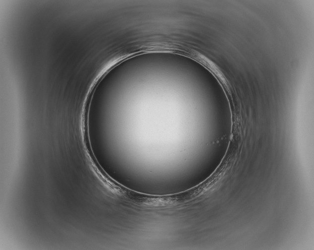 X0000116371195200912091231