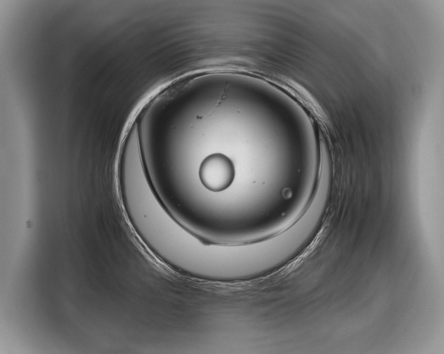 X0000116371196200912091231