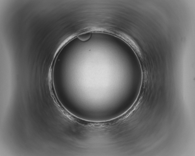 X0000116371198200912091231