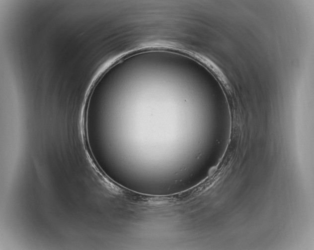 X0000116371199200912091231